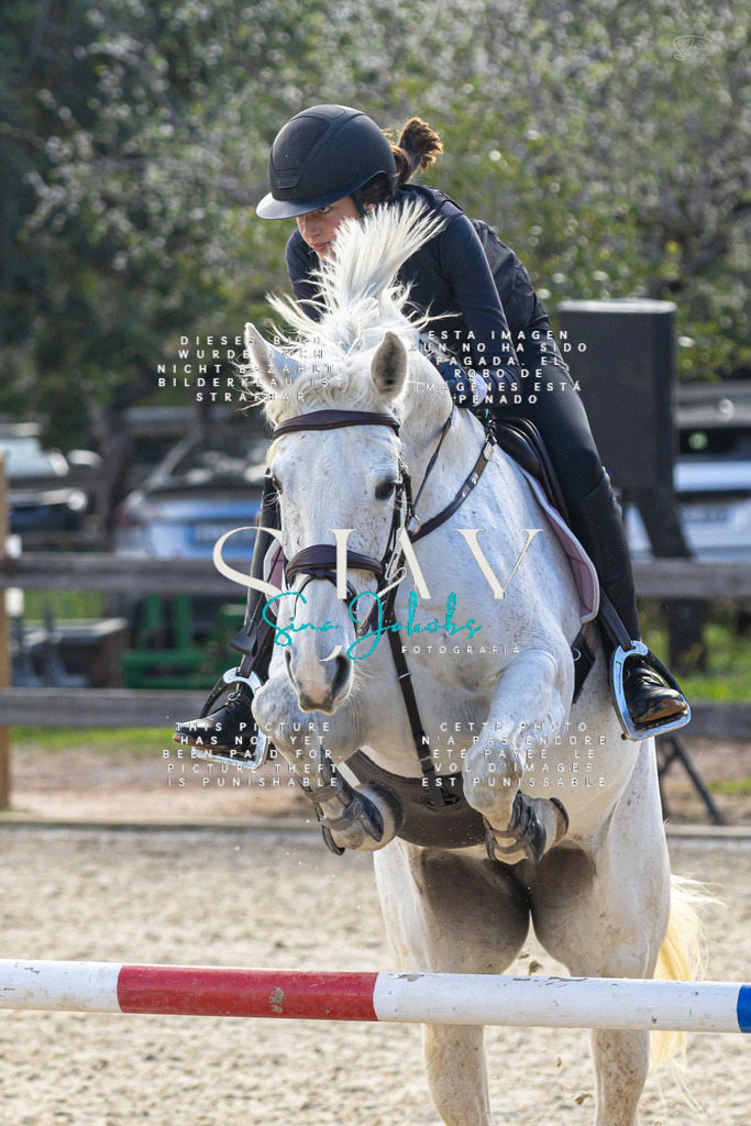 IMG_5167 | s-jay-photography - Realisiert mit Pictrs.com