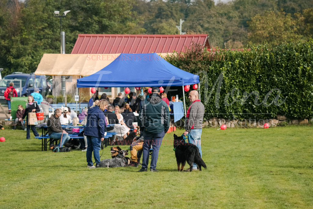 20250928_Hunderennen-329 | MuT (Mensch und Tier) mit Mona - Fotografie und Tierkommunikation - Realisiert mit Pictrs.com