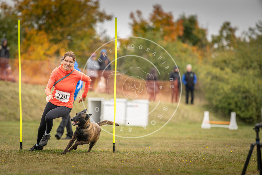 Pfotenfotografie_DV3A4109 | Hundefotografie, Tierfotograf, Pfotenfotografie, Fotoshooting Hund, Hunde Portrait, Hundesport, Hundeportraits, Heideshooting, Hunde, Sportfotograf, Hundefotograf, Turnierhundsport, THS,  - Realisiert mit Pictrs.com