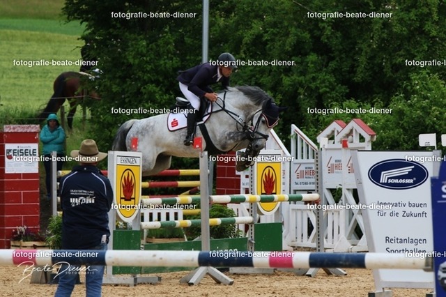 OHT2031 | Fotografie, Tiere, Hunde, Katzen, Pferde, Sportfotografie, Fotosession, Tierfotografie, Turnierfotografie, Fotografin, Fotograf - Realisiert mit Pictrs.com