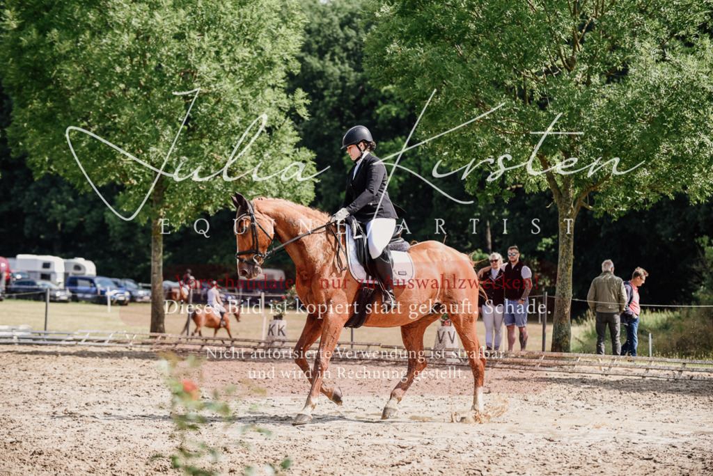 DSC_0327 | Pferde- und Turnierfotografie in Westsachsen. Pferdeportraits, Auftragszeichnungen und intuitive Kunst.