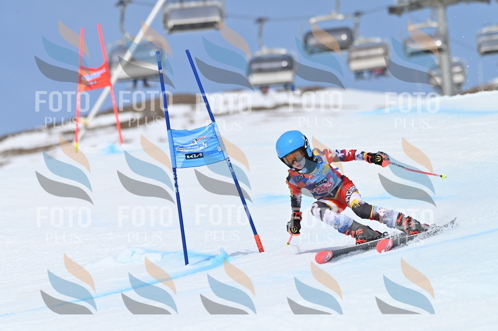 BGV_2666 | holidayphoto