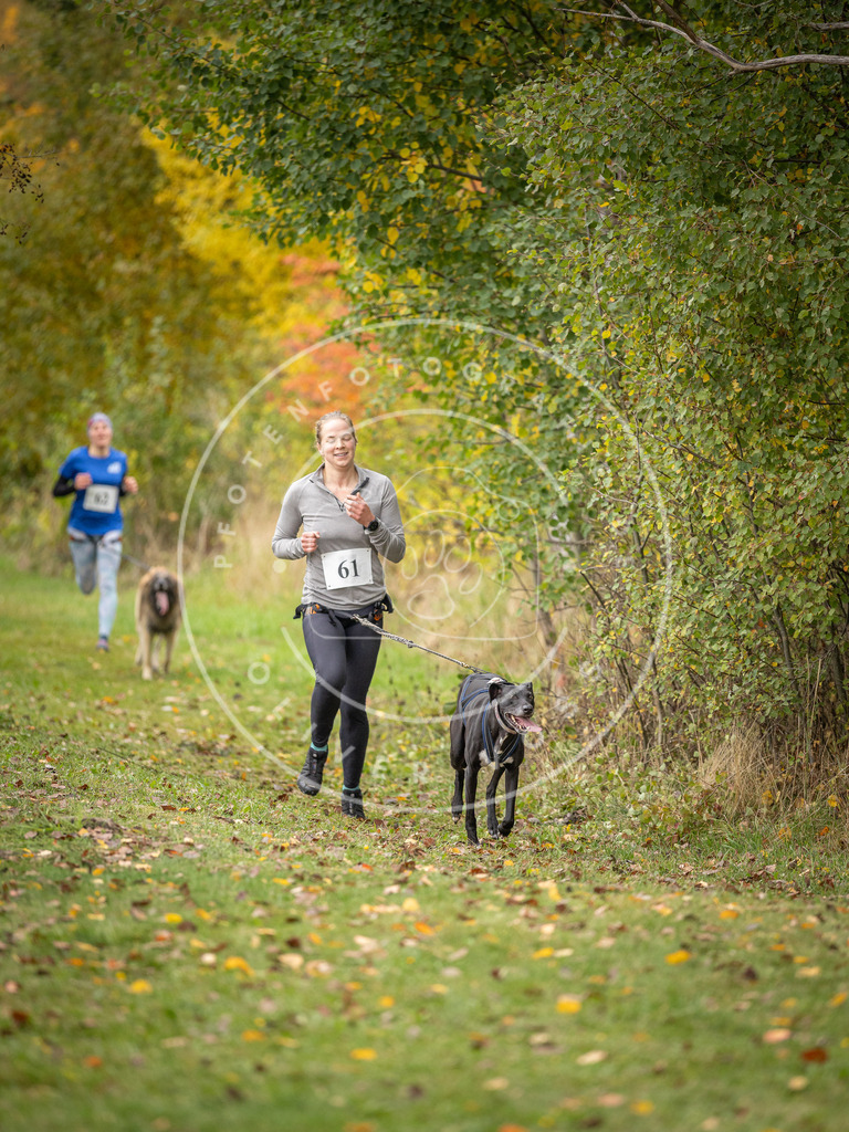 Pfotenfotografie_DV3A2667 | Hundefotografie, Tierfotograf, Pfotenfotografie, Fotoshooting Hund, Hunde Portrait, Hundesport, Hundeportraits, Heideshooting, Hunde, Sportfotograf, Hundefotograf, Turnierhundsport, THS,  - Realisiert mit Pictrs.com