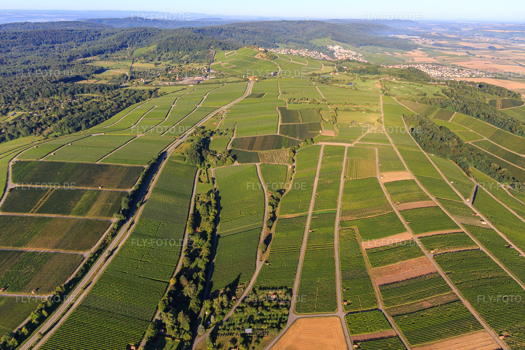 Luftbild: Weinberge in Bönnigheim im Bundesland Baden-Württemberg in Deutschland. Foto: IMG_093822.jpg vom 23.08.2016 durch Werner Riehm/FLY-FOTO.de