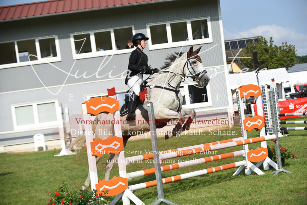 DSC_8735 | Pferde- und Turnierfotografie in Westsachsen. Pferdeportraits, Auftragszeichnungen und intuitive Kunst.