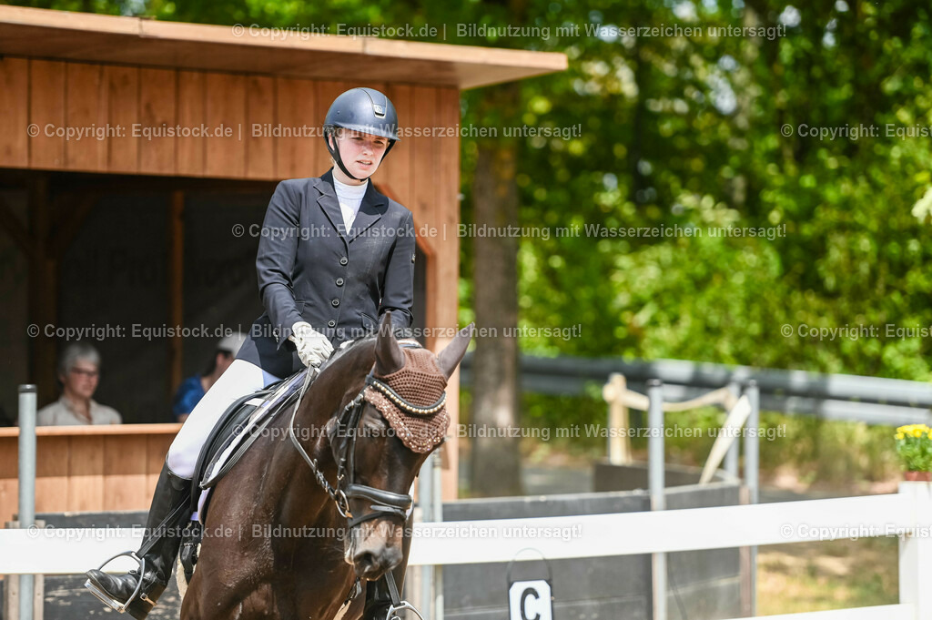 20230715_05_Dressurprüfung Kl.A++_0378 | equistock