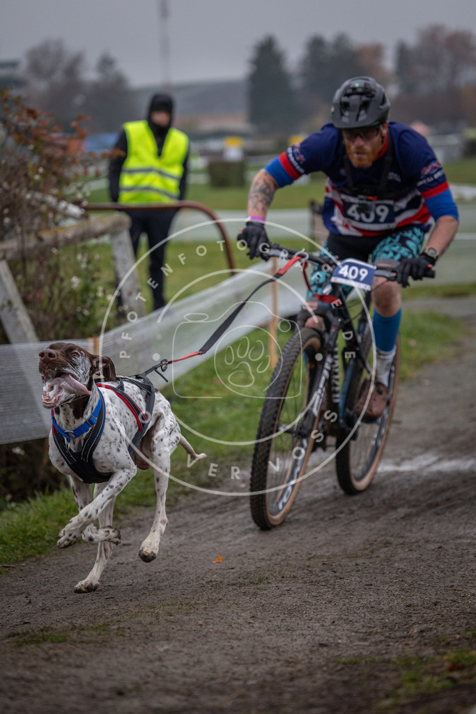 CaniXpix_0L8A1571 | Hundefotografie, Tierfotograf, Pfotenfotografie, Fotoshooting Hund, Hunde Portrait, Hundesport, Hundeportraits, Heideshooting, Hunde, Sportfotograf, Hundefotograf, Turnierhundsport, THS,  - Realisiert mit Pictrs.com
