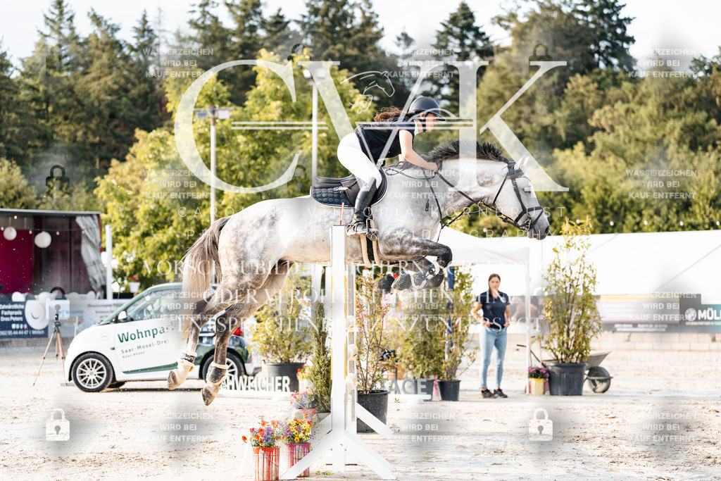 CK903376 | Turnierfotografie Pferdefotografie Trier Rheinland-Pfalz Pferdesport Reitsport Tierfotografie Sportfotografie Pferdevideo Pferdevideografie Equestrianvideography equestrianphotography  - Realisiert mit Pictrs.com