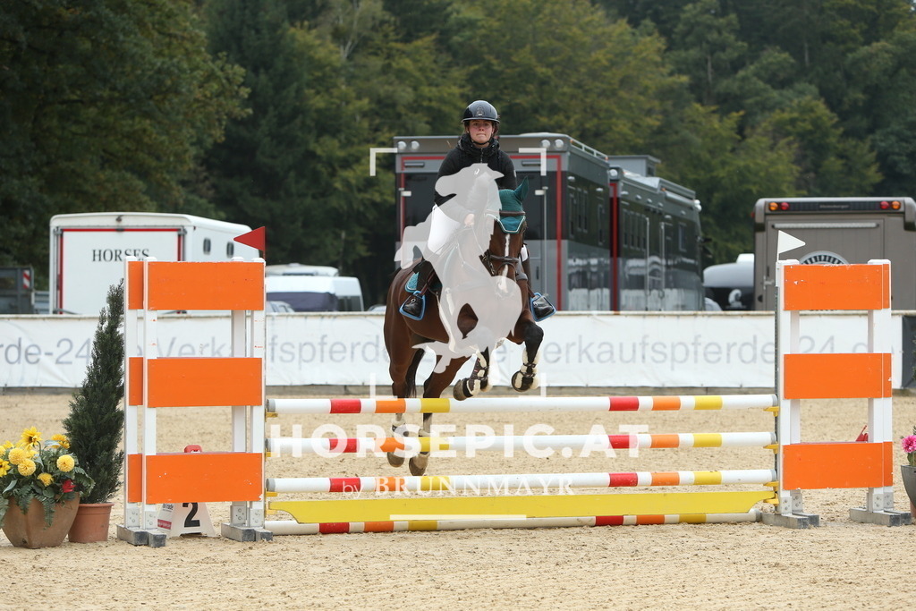 DL2Q5366 | Willkommen bei Brunnmayr - Design & Fotografie – Ihrem Spezialisten für Reitturniere und Pferdeveranstaltungen in Oberösterreich, Salzburg und Bayern! Seit über 17 Jahren sind wir leidenschaftlich dabei.