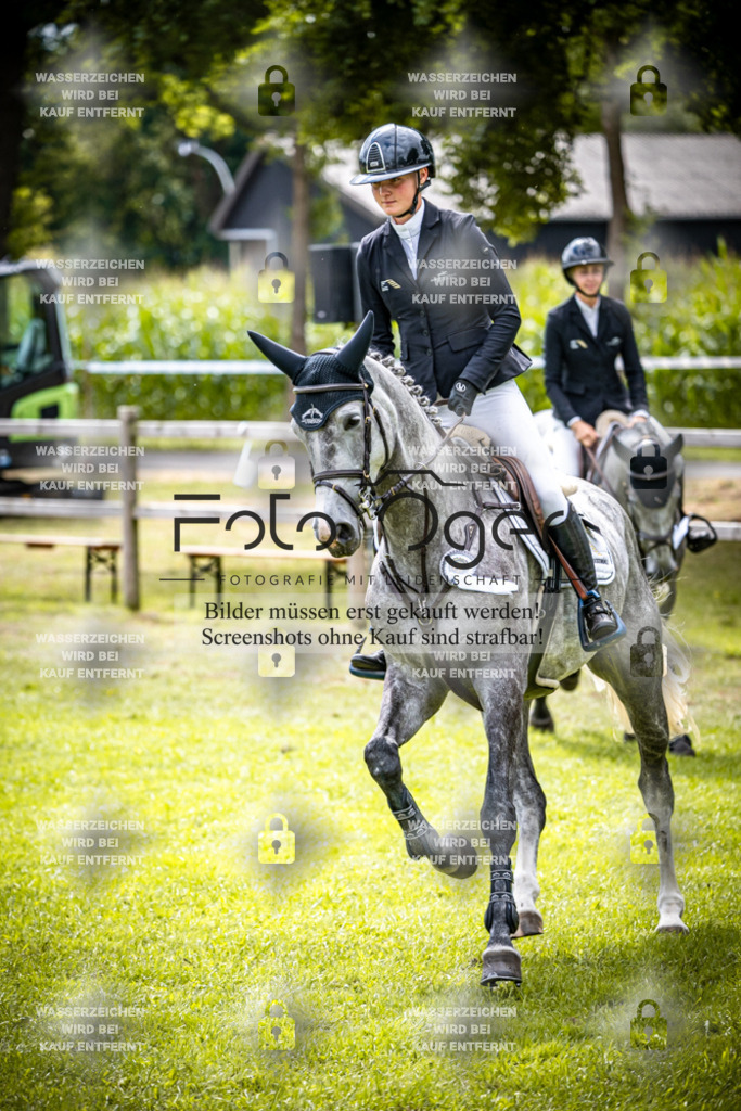 A3_2026-07 - Recke-7-0028 | Entdecke hochwertige Reitturnierfotos von Foto Oger. Professionell, emotional und authentisch – jetzt Lieblingsmomente im Shop bestellen.Deutschlandweite Turnierfotografie. - Realisiert mit Pictrs.com