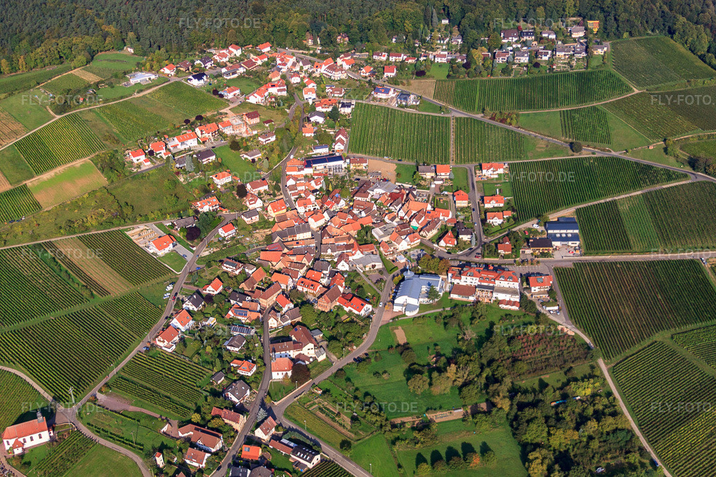 Luftbild: Winzerdorf am Haardtrand von Osten im Ortsteil Gleiszellen in Gleiszellen-Gleishorbach im Bundesland Rheinland-Pfalz in Deutschland. Foto: IMG_45417.jpg vom 24.09.2011 durch Werner Riehm/FLY-FOTO.deAuflösung des Originals: 4752 x 3168 px