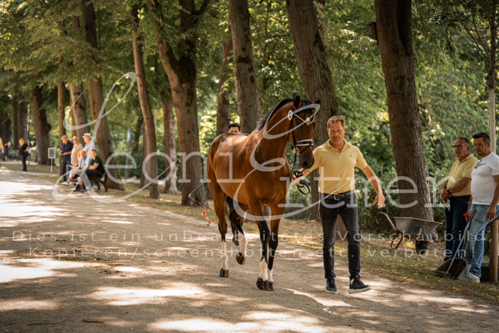 FrPfM00236 | Leoni Ertmer Photography - Realisiert mit Pictrs.com