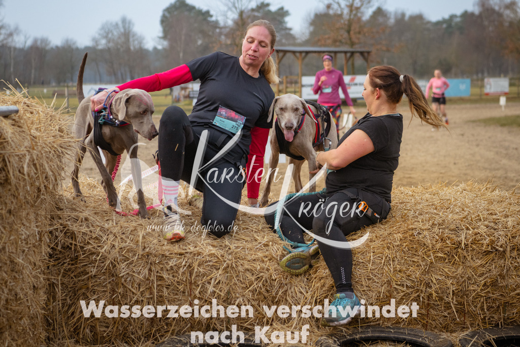 0840_ZZ94253 | kk-dogfotos