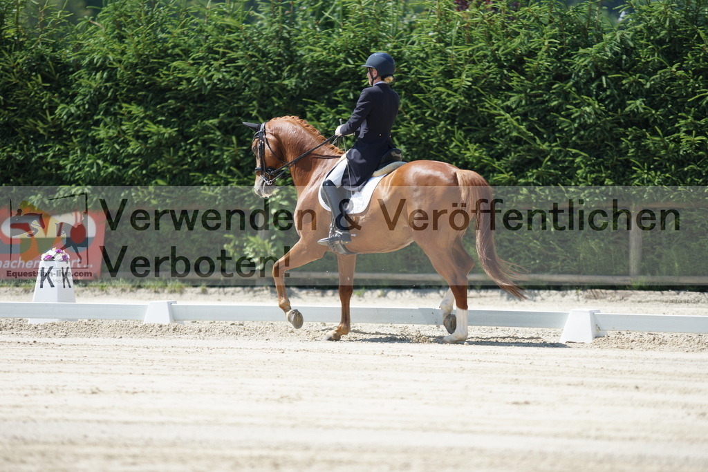 DSC02194 | equestrian-live-com