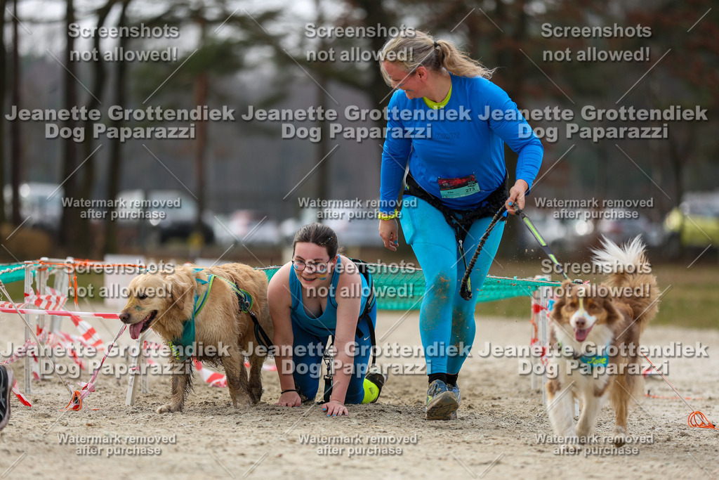 Dog Paparazzi - Strongdog North Mrz26-5727 | Dog Paparazzi Jeanette Grottendiek Fotografie & Videografie - Realisiert mit Pictrs.com