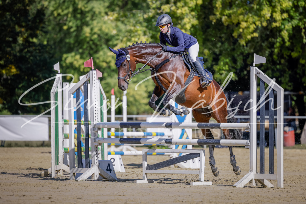 20250906-_3LI3396 | Tierfotografie Pferde, Hunde, Katzen, Haustiere.
Turnierfotografie Reitturniere, Reiten, Springreiten, Dressur in Hanau, dem Main-Kinzig-Kreis und dem Rhein-Main- Gebiet um Frankfurt