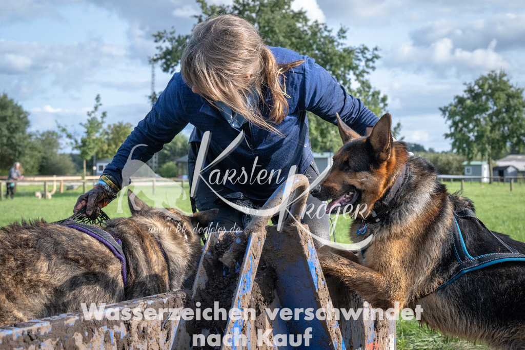 1641_ZZ92752 | kk-dogfotos