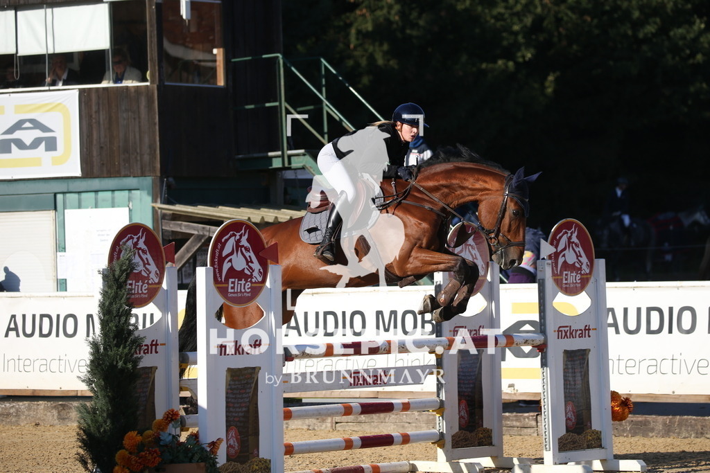 DL2Q0944 | Willkommen bei Brunnmayr - Design & Fotografie – Ihrem Spezialisten für Reitturniere und Pferdeveranstaltungen in Oberösterreich, Salzburg und Bayern! Seit über 17 Jahren sind wir leidenschaftlich dabei.