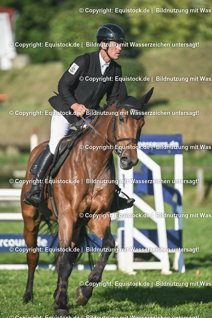 20230908_14-15_Springpferde-A_0029 | equistock