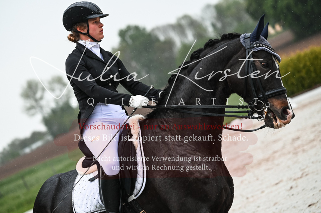 DSC_4513 | Pferde- und Turnierfotografie in Westsachsen. Pferdeportraits, Auftragszeichnungen und intuitive Kunst.