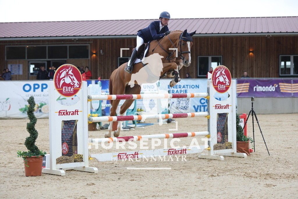 0P6A4184 | Willkommen bei Brunnmayr - Design & Fotografie – Ihrem Spezialisten für Reitturniere und Pferdeveranstaltungen in Oberösterreich, Salzburg und Bayern! Seit über 17 Jahren sind wir leidenschaftlich dabei.