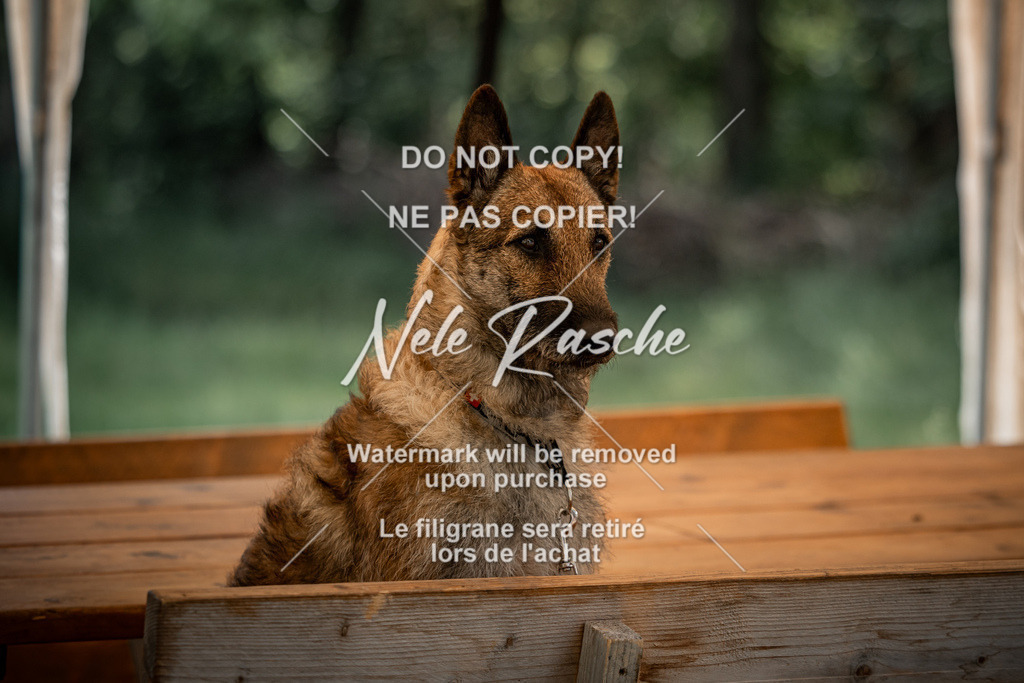 nelerasche_So-abschied_103 | nelerasche