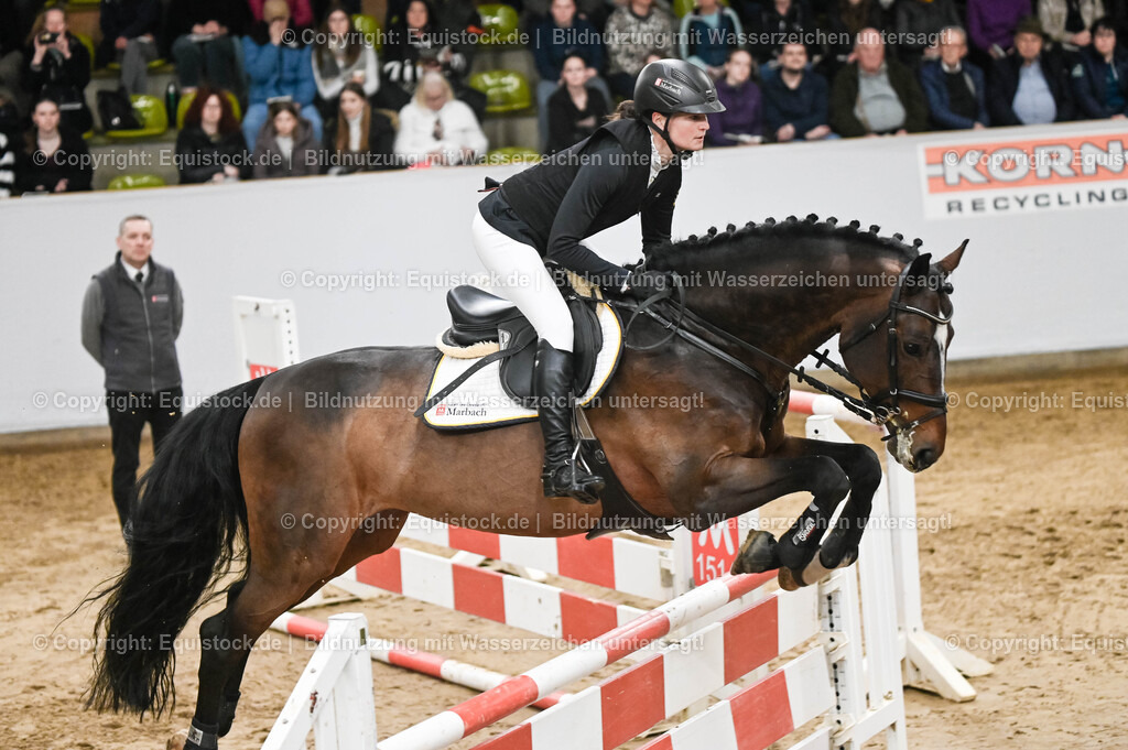 20260307_Hengstvorstellung-Marbach_0139 | equistock