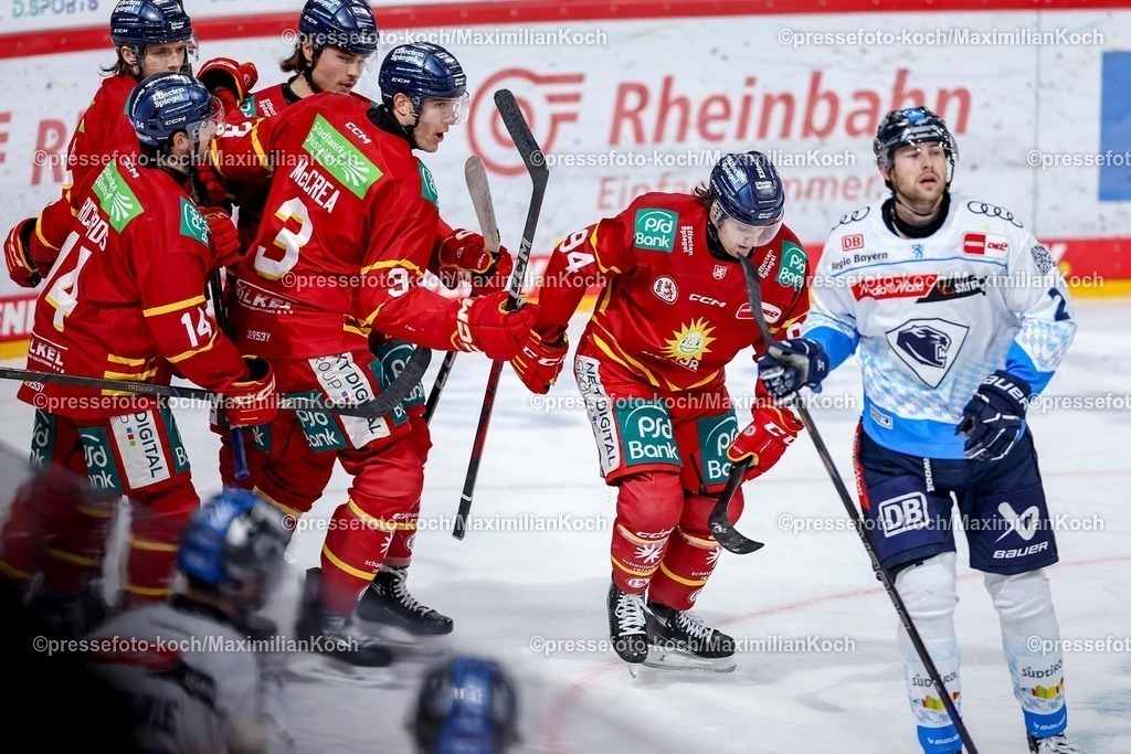 DEG02012501017 | 02.01.2025, Eishockey, Penny DEL, Düsseldorfer EG - ERC Ingolstadt, PSD-BANK Dome: Torjubel Torschützer zum 1:1 Tyler Angle (DEG #94) 