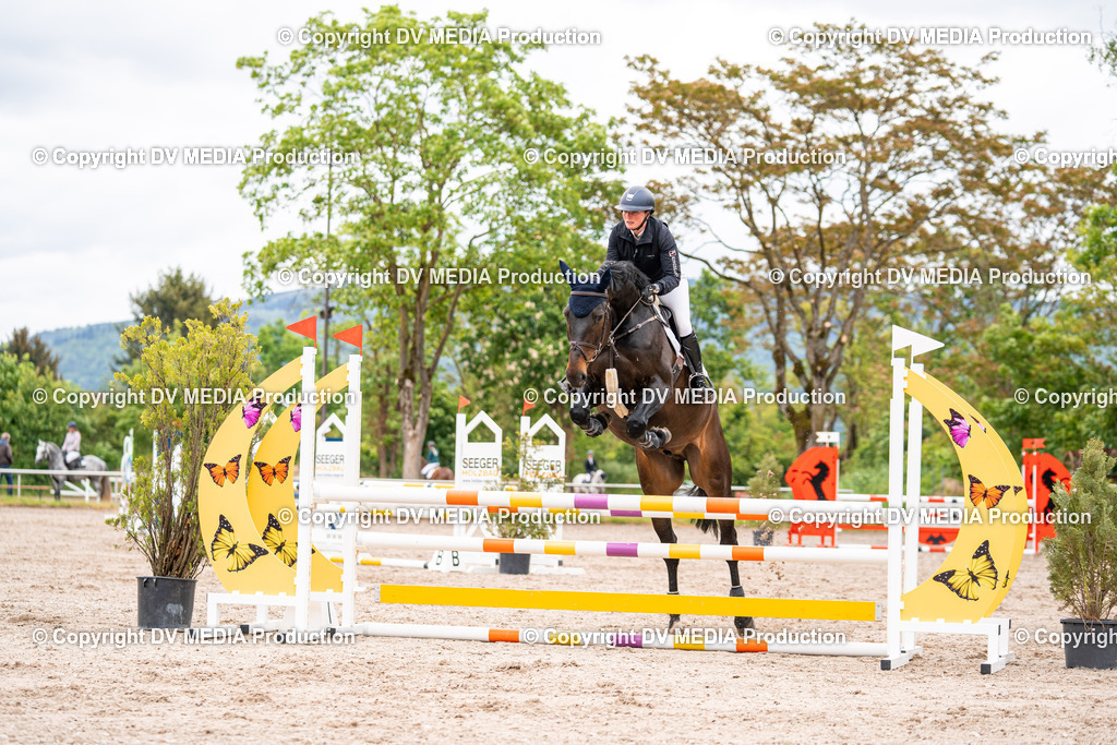 Eppelheim Tag 1-83 | dv-media-shop - Realisiert mit Pictrs.com