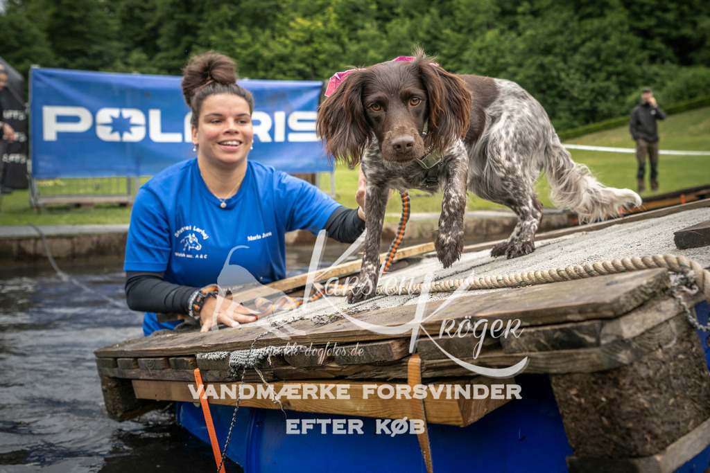 1015_ZZ95423 | kk-dogfotos