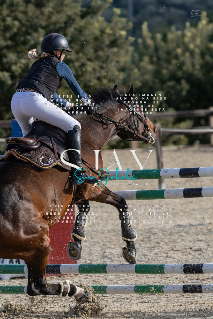 IMG_0307 | s-jay-photography - Realisiert mit Pictrs.com