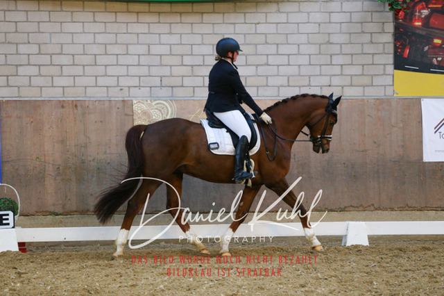 IMG_2951 | Turnierfotos kaufen im Webshop von Daniel Kuhl Photography – entdecke professionelle Reitsportfotos aus Turnieren & Events. Hochwertige Turnierbilder online bestellen & sichern. Jetzt Fotos von Reitsportturnieren kaufen!