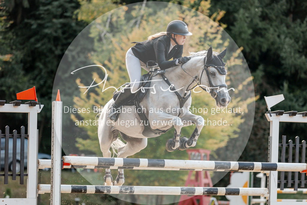 3I6A5189 | Stimmungsvolle Portraits und Reitsportfotografie im Ruhrgebiet und im Münsterland.

Pferdefotografie, Hundefotografie, Tierfotografie, Reportagen, Portraits von Tier und Mensch, Turnierfotografie in Bochum, Recklinghausen, Marl, Haltern am See, Dülmen.. - Realisiert mit Pictrs.com