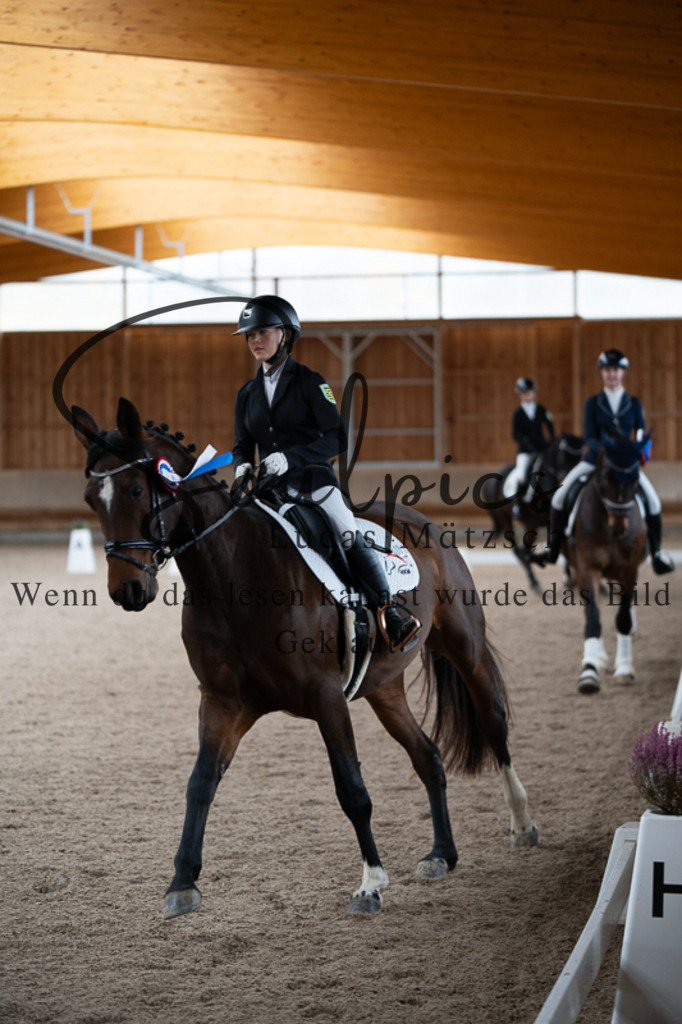 A7V02525 | Pferdefotograf