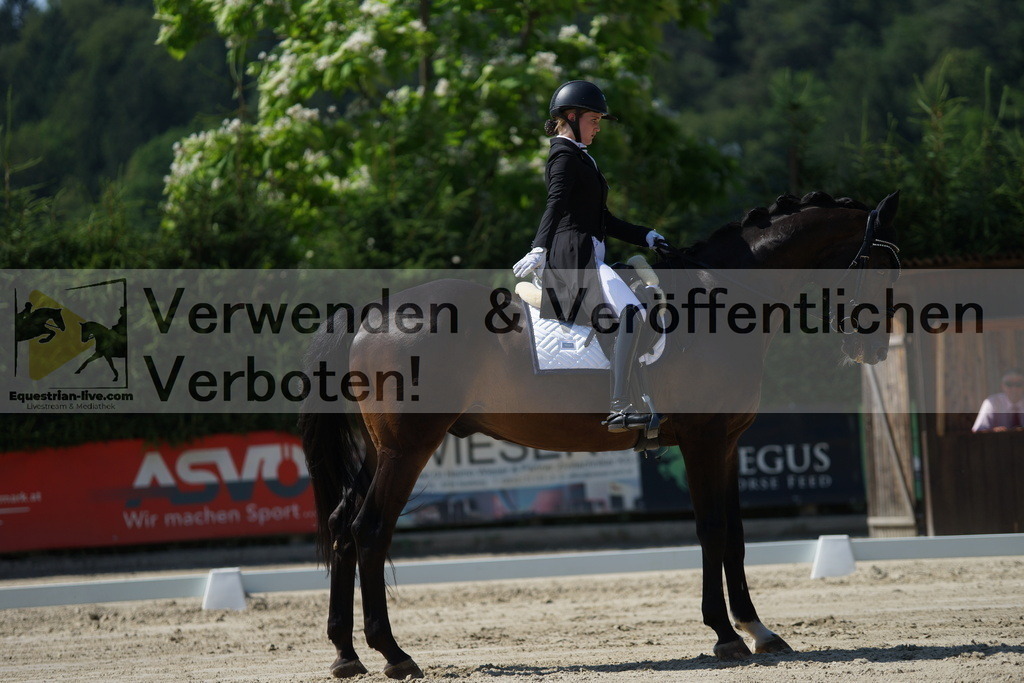 DSC02351 | equestrian-live-com