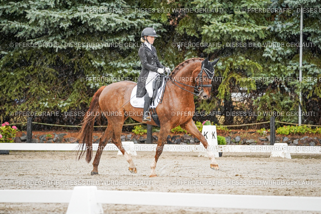 DSC09203 | Pferdegrafie