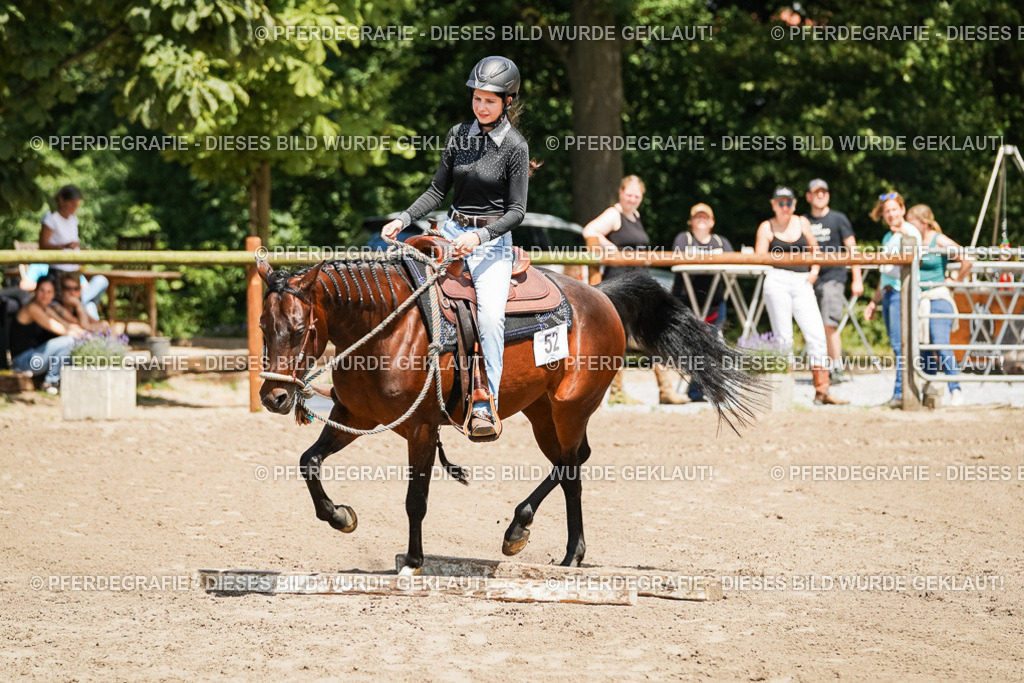 DSC07651 | Pferdegrafie