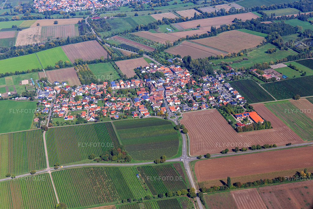Luftbild: Ortsansicht von Süden in Großfischlingen im Bundesland Rheinland-Pfalz in Deutschland. Foto: IMG_135100.jpg vom 30.09.2022 durch Werner Riehm/FLY-FOTO.de