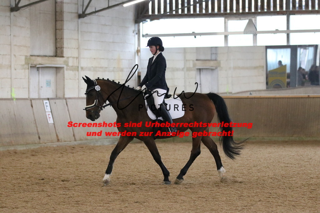 IMG_3933 | lmwpictures - Realisiert mit Pictrs.com