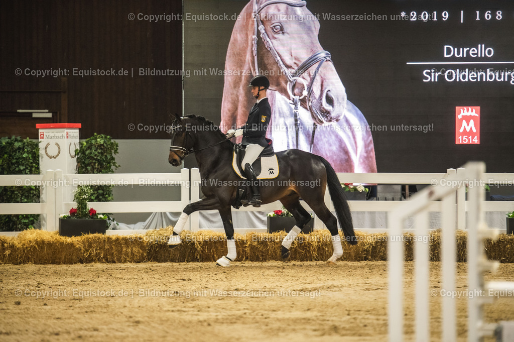 20240302_Hengstvorstellung_Marbach_TOMsPiC_0373 | equistock