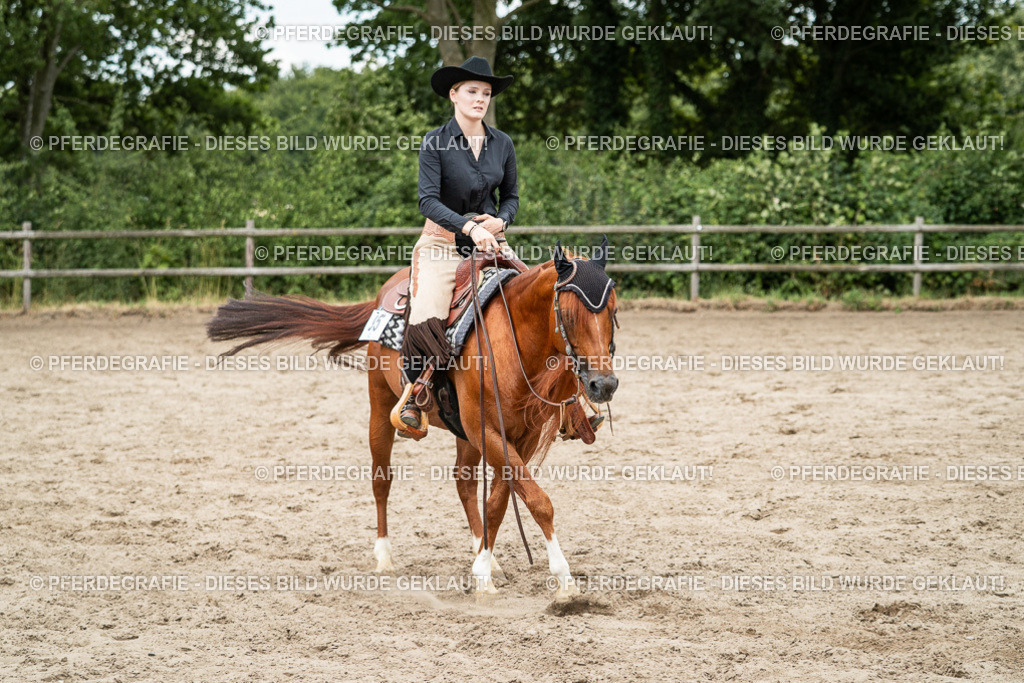 DSC02608 | Pferdegrafie