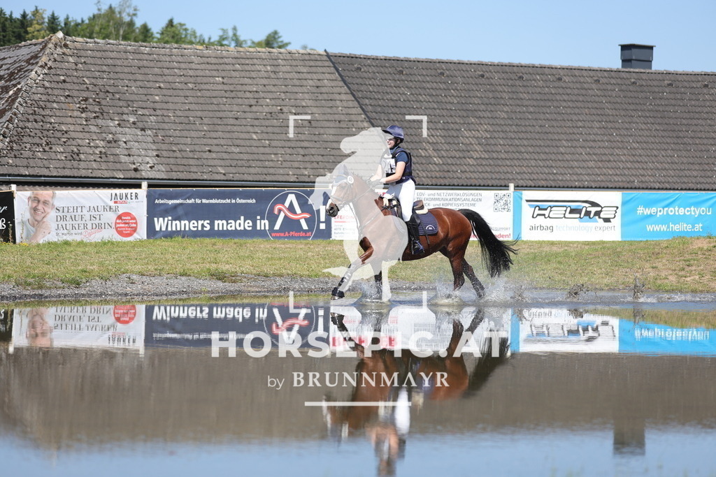 0P6A3484 | Willkommen bei Brunnmayr - Design & Fotografie – Ihrem Spezialisten für Reitturniere und Pferdeveranstaltungen in Oberösterreich, Salzburg und Bayern! Seit über 17 Jahren sind wir leidenschaftlich dabei.