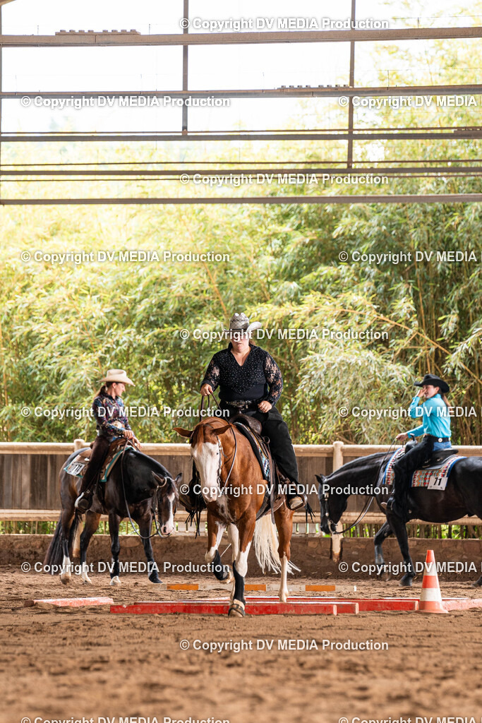 Erbach Tag 1-614 | dv-media-shop - Realisiert mit Pictrs.com