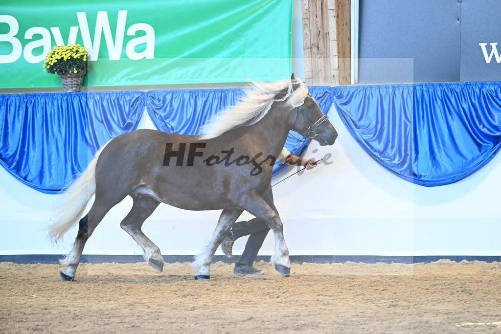 Kat-Nr. 108 Edora_ZG Haefele_53220765 | hf-fotografie - Realizzato con Pictrs.com