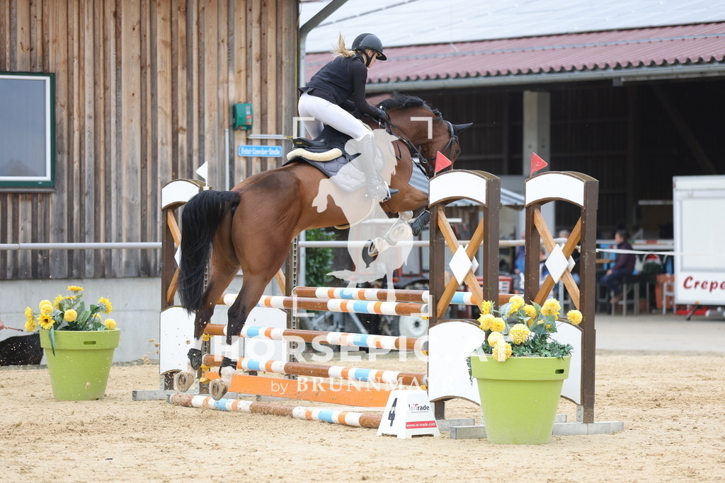 0P6A2912 | Willkommen bei Brunnmayr - Design & Fotografie – Ihrem Spezialisten für Reitturniere und Pferdeveranstaltungen in Oberösterreich, Salzburg und Bayern! Seit über 17 Jahren sind wir leidenschaftlich dabei.
