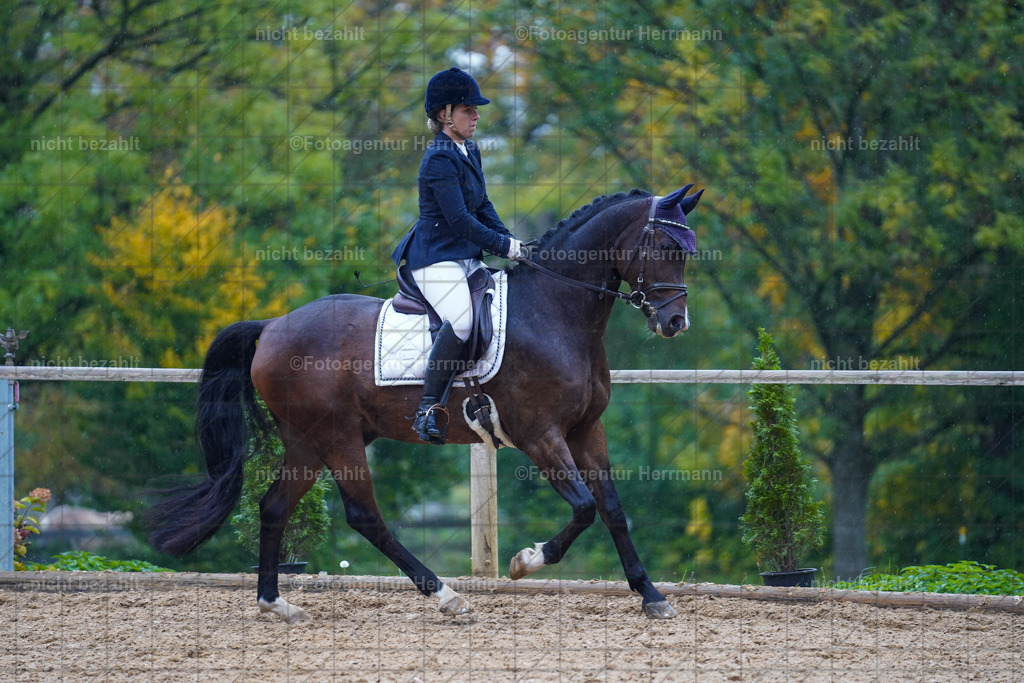 20221008-FAH02041 | Diessen am Ammersee, 2022, Dressur- und Springturnier, Reitsportbilder, Turnierfotografen Bayern, Pferdefotografen, Fotoagentur Herrmann, Turnierbilder