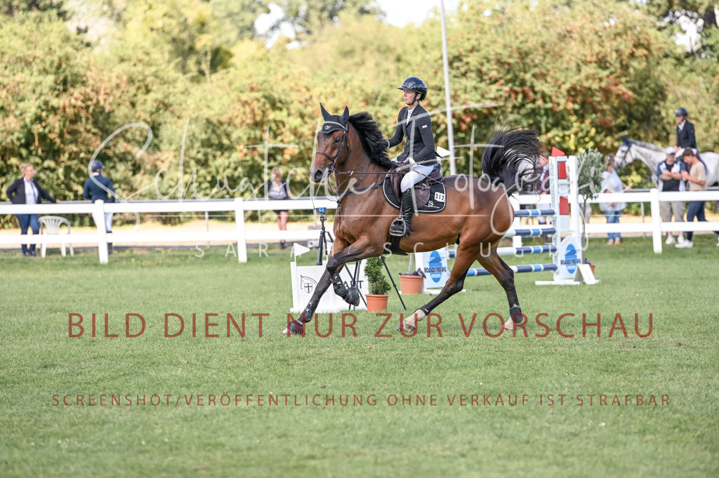 Schugtsche-Düren.2024-09.Springprf.L-204 | Schugtsche Fotografie - Realisiert mit Pictrs.com