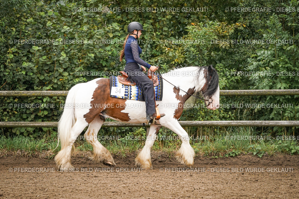 DSC01947 | Pferdegrafie