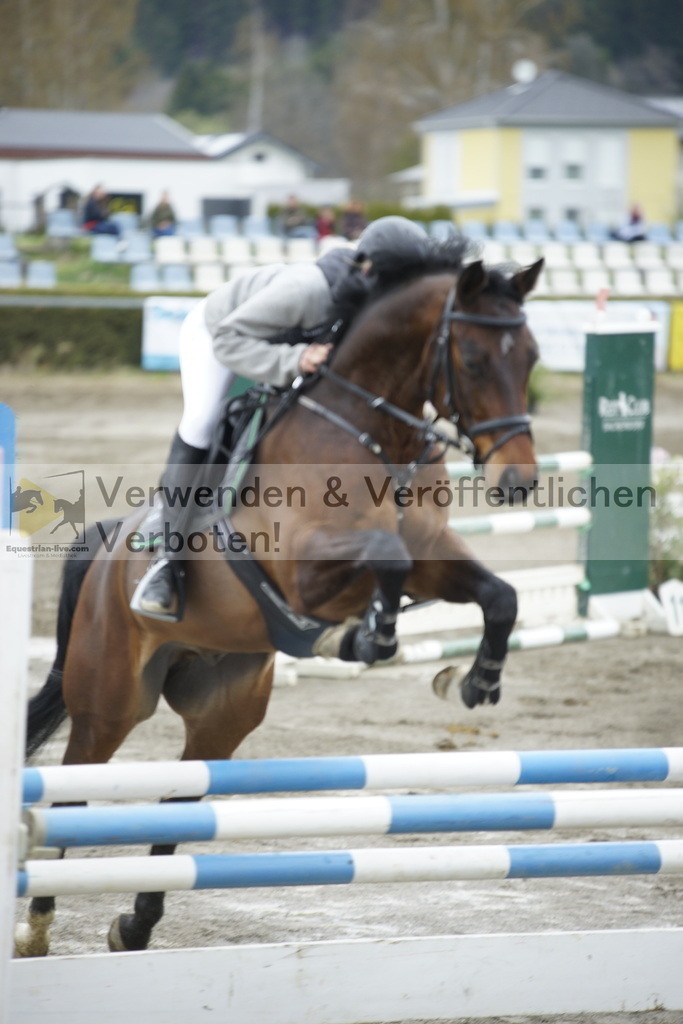 _DSC7897 | equestrian-live-com