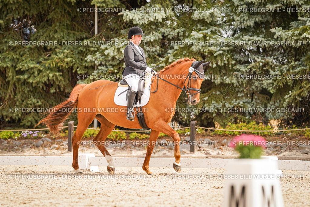 DSC01854 | Pferdegrafie